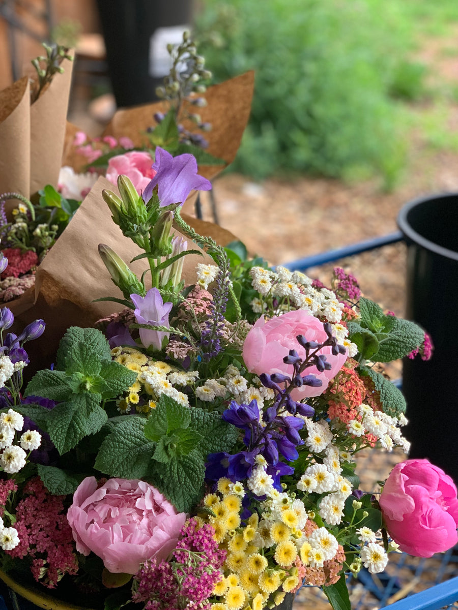 Why Flowers Matter Unveiling the Transformative Power and Joy They Br