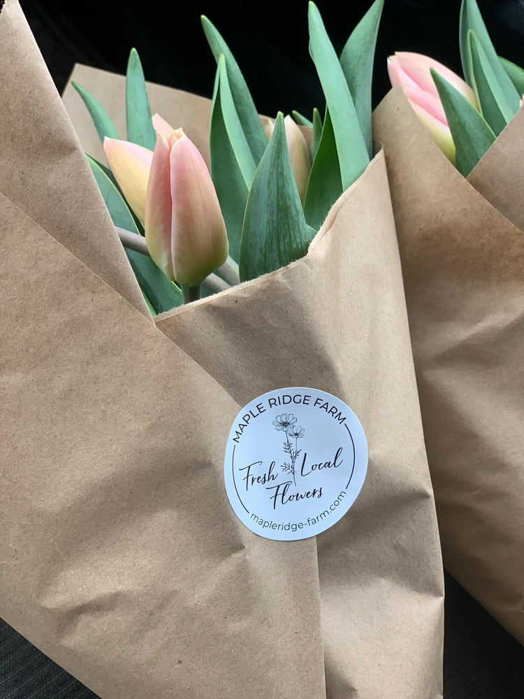 Everything you need to know about caring for tulips