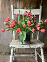 Everything you need to know about caring for tulips