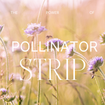 The Power of a Pollinator Strip