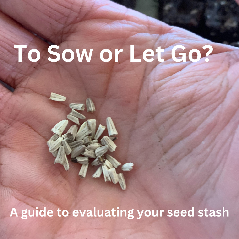 To Sow or Let go? A Guide to Evaluating Your Seed Stash