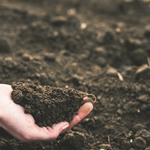 Unlock the hidden potential of your soil