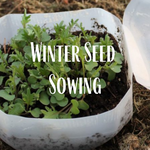 An easy way to start seeds in January