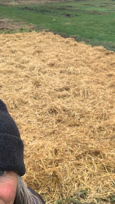 Tucking the Garden In