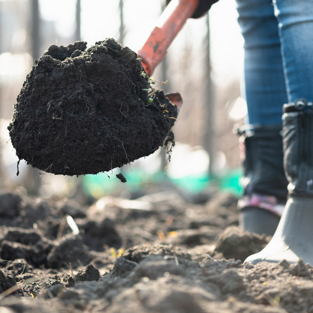 Build better soil with these readily available amendments