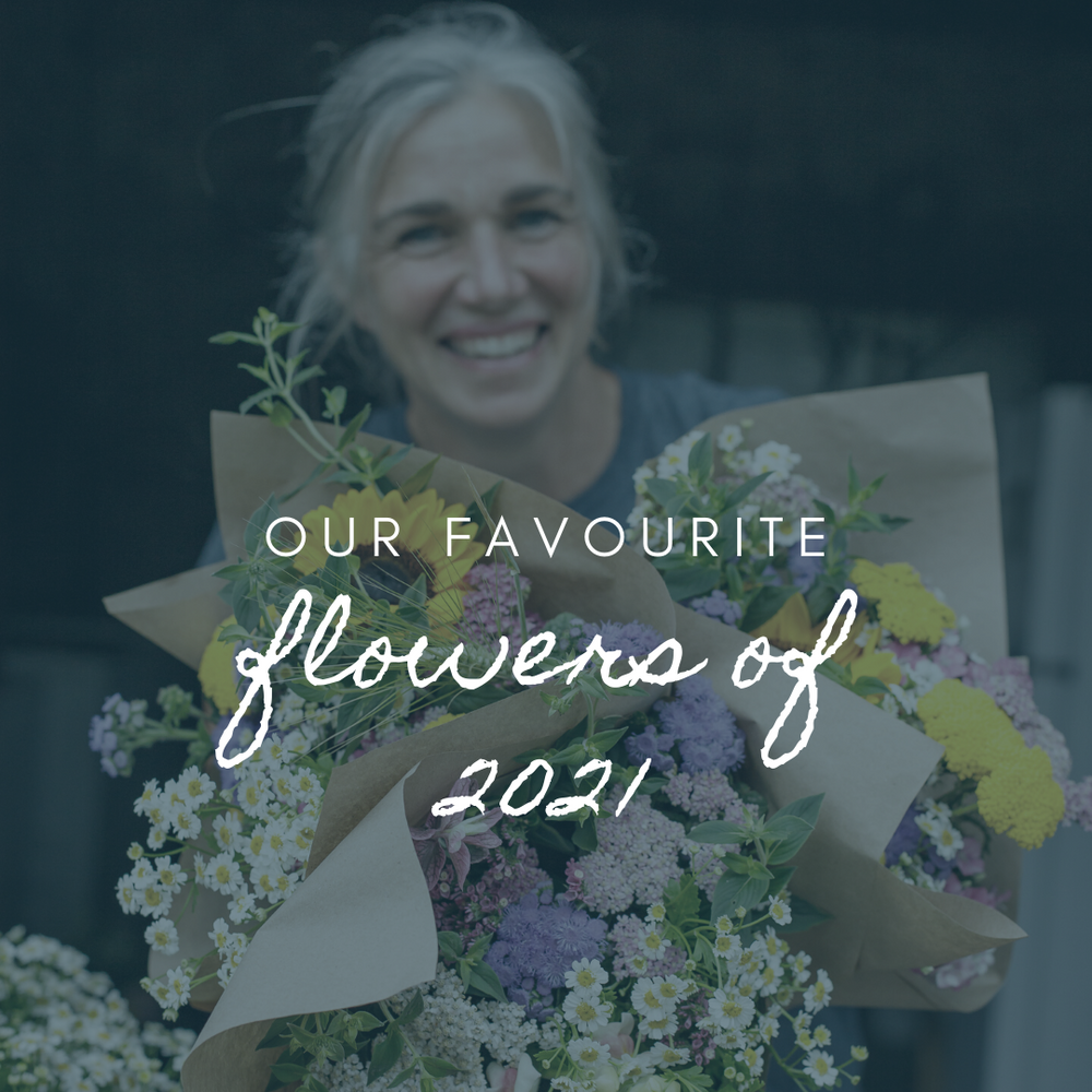 Favourite Flowers of 2021