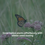 Start native plants the easy way with this simple winter sowing method.