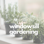 Windowsill Gardening