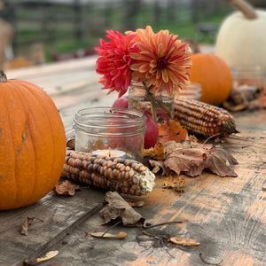 
                  
                    Pumpkin Centrepiece Workshop
                  
                
