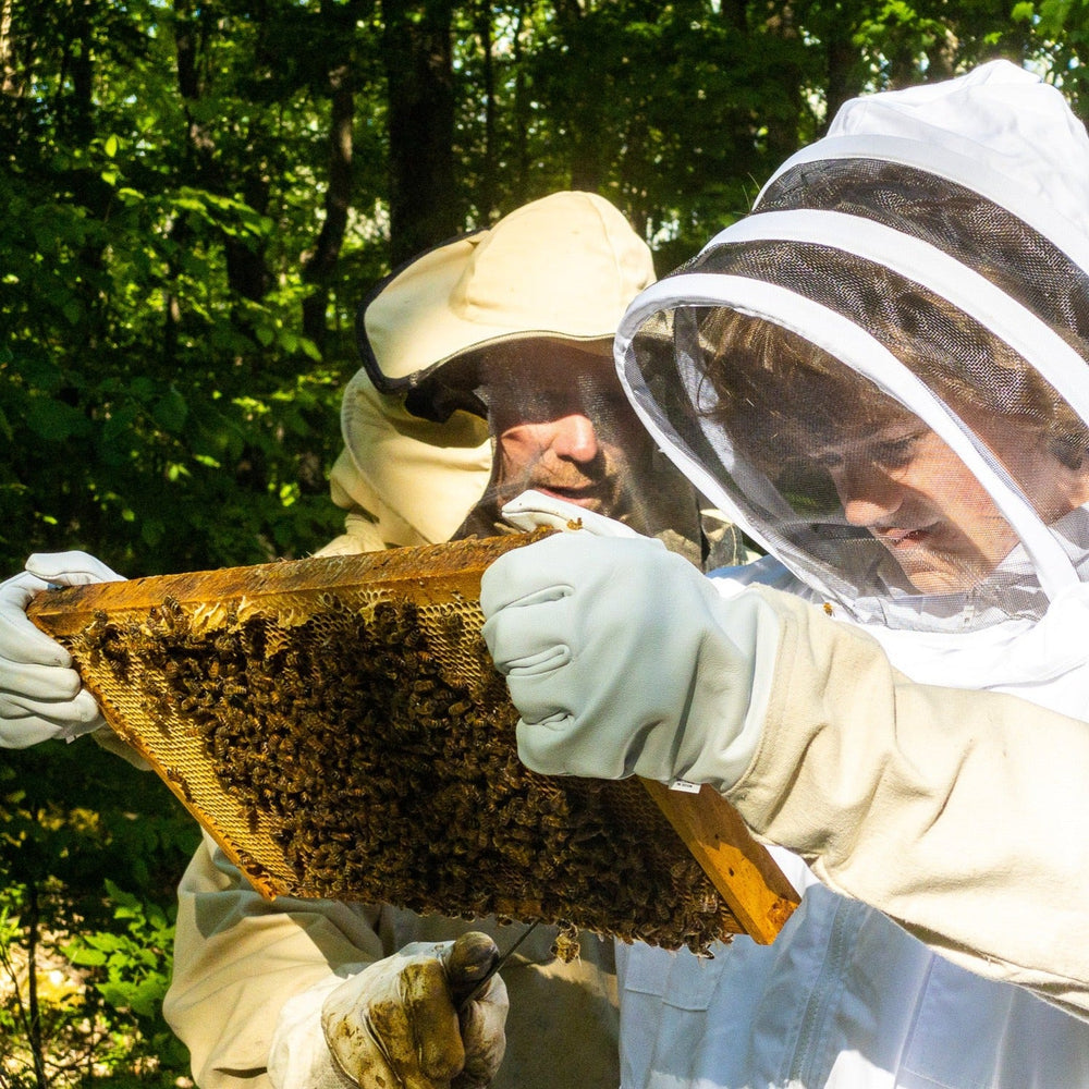Open Farms Bee Experience