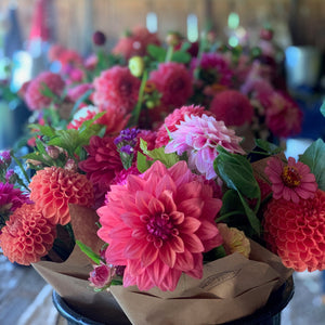 
                  
                    Dahlia U Pick - Wednesday October 9th at 6pm
                  
                