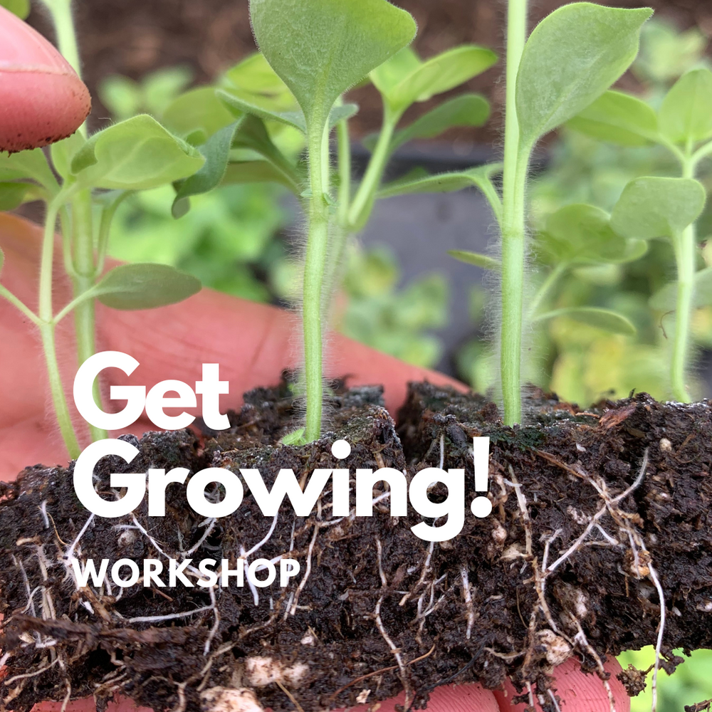 
                  
                    Get Growing! Gardening Workshop
                  
                