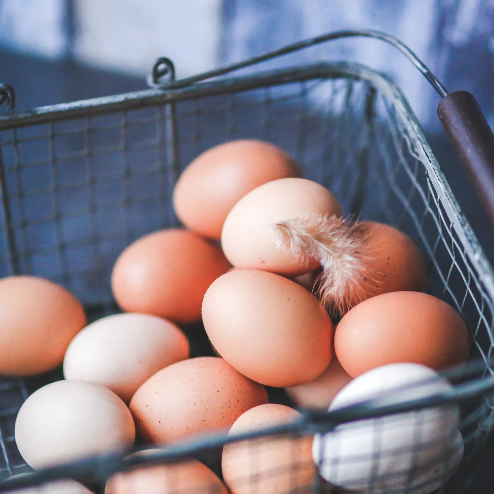Farm Fresh Egg Subscription
